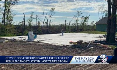 City Of Decatur Giving Away Trees To Help Rebuild Canopy Lost In Last Year's Storm