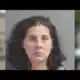 Florida woman accused of impersonating police officer