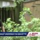 People in Gravette cleaning up after storm Tuesday morning.L
