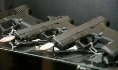 Legislators, advocates discuss conceal carry bills