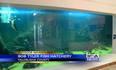 Outdoor Adventures with Chelsea: Bob Tyler Fish Hatchery