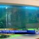 Outdoor Adventures with Chelsea: Bob Tyler Fish Hatchery
