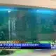 Outdoor Adventures with Chelsea: Bob Tyler Fish Hatchery