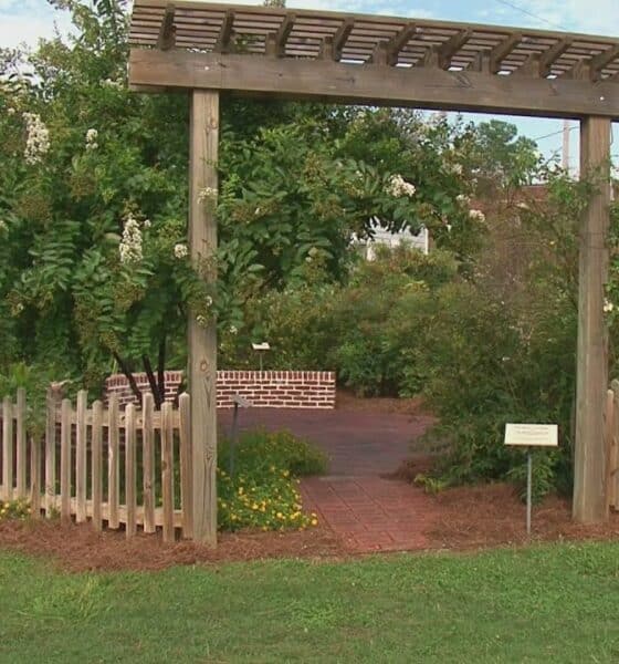Union County Museum celebrates Faulkner with garden