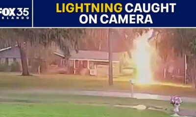 Lightning strikes tree just feet from Florida home: Caught on home surveillance camera
