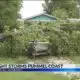 Overnight storm pummels Gulf Coast
