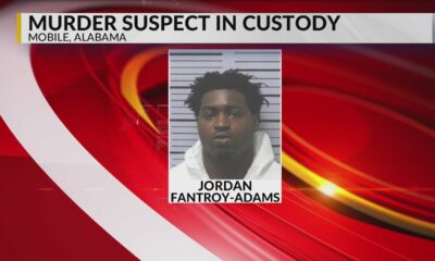 Arrest made in deadly Driftwood Drive shooting