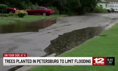 Trees planted in Petersburg to limit flooding