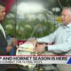 How to compact flying pest this season