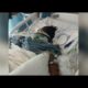 ONLY ON FOX13: Memphis mom spends Mother's Day fighting for life after hit-and-run