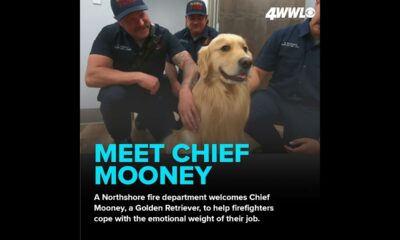 Golden retriever joins Northshore firefighting team to aid mental health