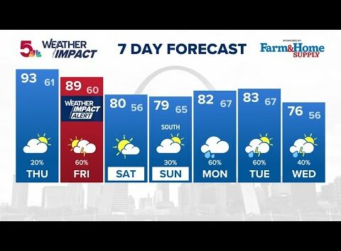 7 Day Forecast