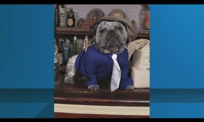 Woman demands answers after dog died during grooming appointment