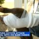 Man strangles coyote to death after it follows, attacks him