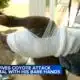 Man strangles coyote to death after it follows, attacks him