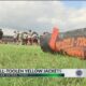 33 Teams in 33 Days: McGill-Toolen Yellow Jackets