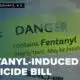 Darlington Co. family feeling relief over passage of fentanyl-induced homicide bill