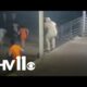 Jailor arrested for helping New Orleans inmates escape