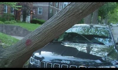 Storm cleanup efforts continue in Clayton