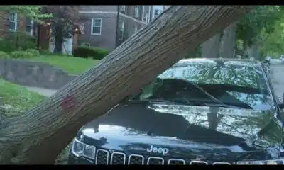 Storm cleanup efforts continue in Clayton