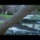Storm cleanup efforts continue in Clayton