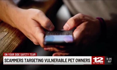 Richmond SPCA reporting missing pet scams