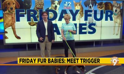 Friday Fur Babies: Meet Trigger