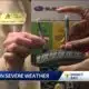 What to do if you're caught on the road during severe weather.