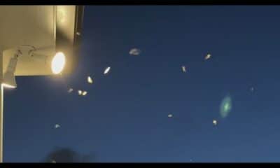 Termites: Least wonderful time of the year