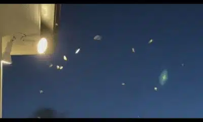 Termites: Least wonderful time of the year