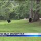 Backyard bears cause stir in Saraland neighborhood