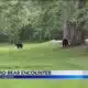 Backyard bears cause stir in Saraland neighborhood