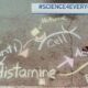 Science 4 Everyone: How does allergy medicine work to relieve symptoms? | NBC4 Washington