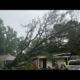 "IT WAS THE WIND" - Storms take tree down on top of Memphis home