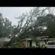 "IT WAS THE WIND" - Storms take tree down on top of Memphis home