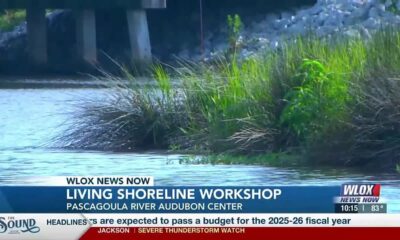 Living Shorelines Workshop helps landowners combat erosion, protect habitat