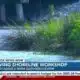Living Shorelines Workshop helps landowners combat erosion, protect habitat