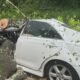 Woman Paralyzed After Tree Lands on Her Car | May 28, 2025 | News 19 at 5 p.m.