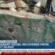 Migrant vessel recovered from Cat Island possibly came from foreign waters, Coast Guard says