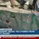 Migrant vessel recovered from Cat Island possibly came from foreign waters, Coast Guard says