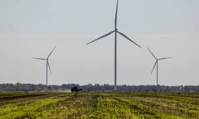 Even in red America, clean energy is booming. But now, huge renewable projects are dead.