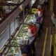 Arizona lawmakers: Trade decision could result in 50K jobs lost | Arizona