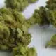 Bill would change Tennessee's cannabis market | Tennessee