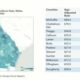 Georgia cancer care funds expected to wane | Georgia