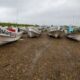 Illegal fishing: Cartels expand criminal activity beyond drug, human smuggling | National