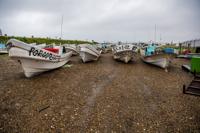 Illegal fishing: Cartels expand criminal activity beyond drug, human smuggling | National