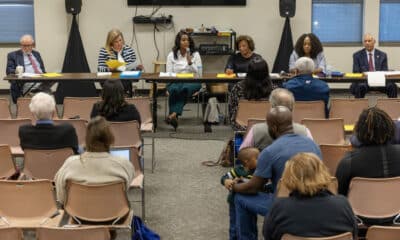 In Jackson’s 'white Republican bastion,' population changes shape council race