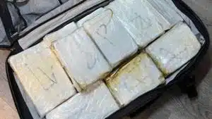 Proposal gives new weapon in fight against cartels | North Carolina