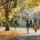 Should feds require 'intellectual diversity' among university faculties? | National