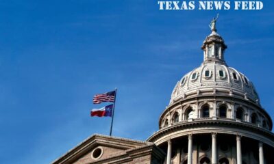 Spider season in Texas: Which ones are dangerous?